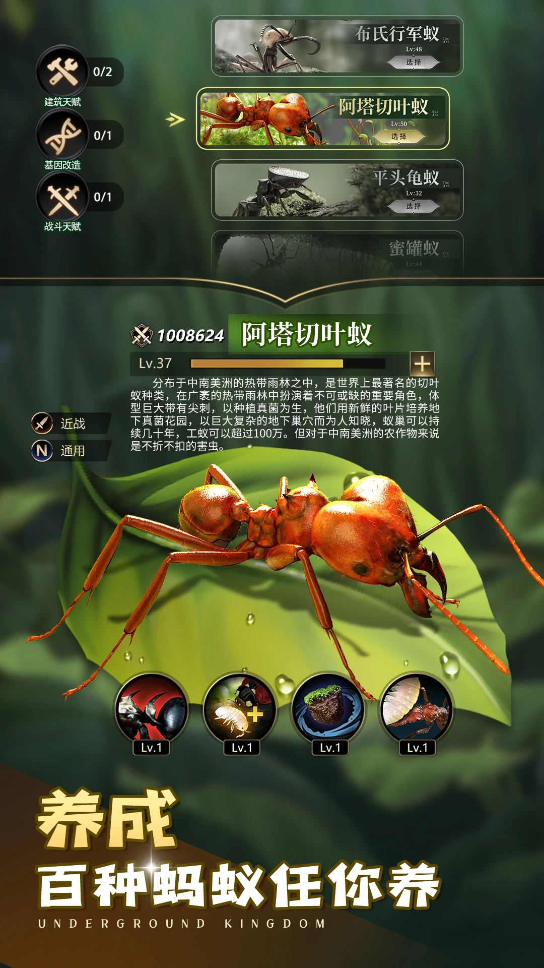 小小蚁国应用宝版本截图0
