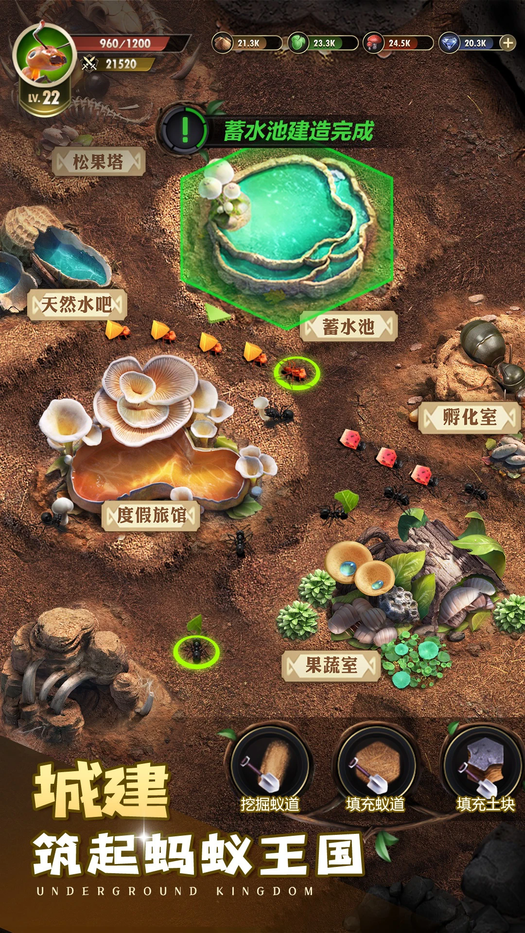 小小蚁国应用宝版本截图2