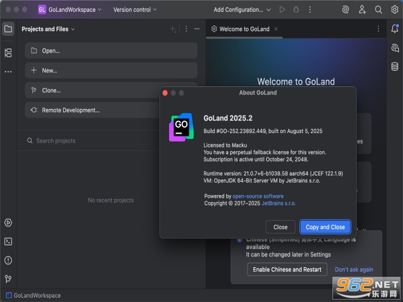 JetBrains GoLand2025�����ƽ��v2025.1��ͼ2