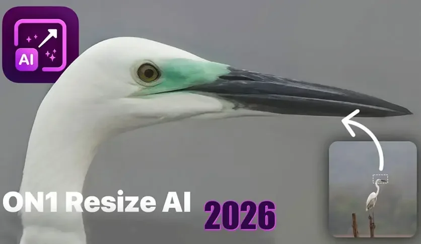 ON1 Resize AI(AI����Ŵ���Ƭ)v20.5.0.19062 �ٷ����ͼ0