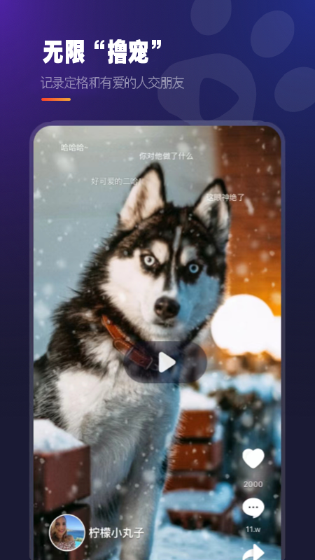 Ȥצӡappv5.0.8��ͼ1