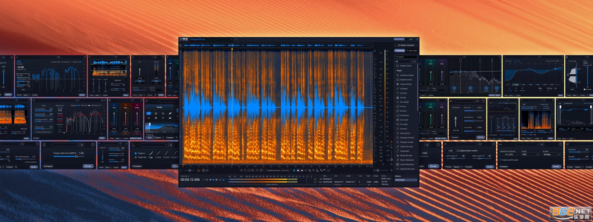 iZotope RX 12 Audio Editor Advanced