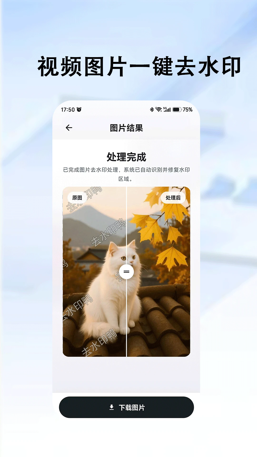 ȥˮӡѼappv3.0.3��ͼ0