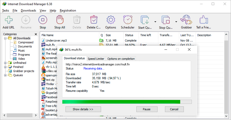 Internet Download Manager(IDM������)v6.43 Build 7 �ٷ����ͼ3
