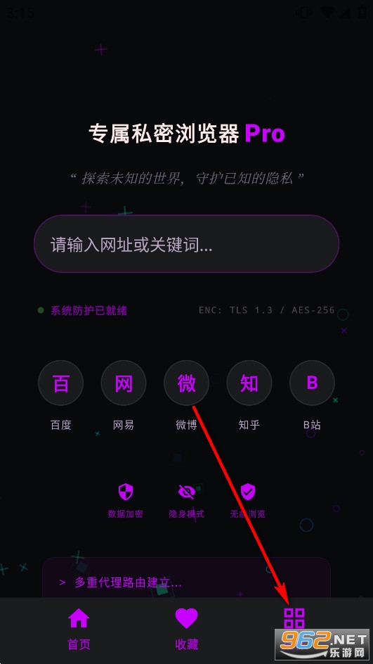 专属私密浏览器Pro纯净版 专属私密浏览器Pro纯净版