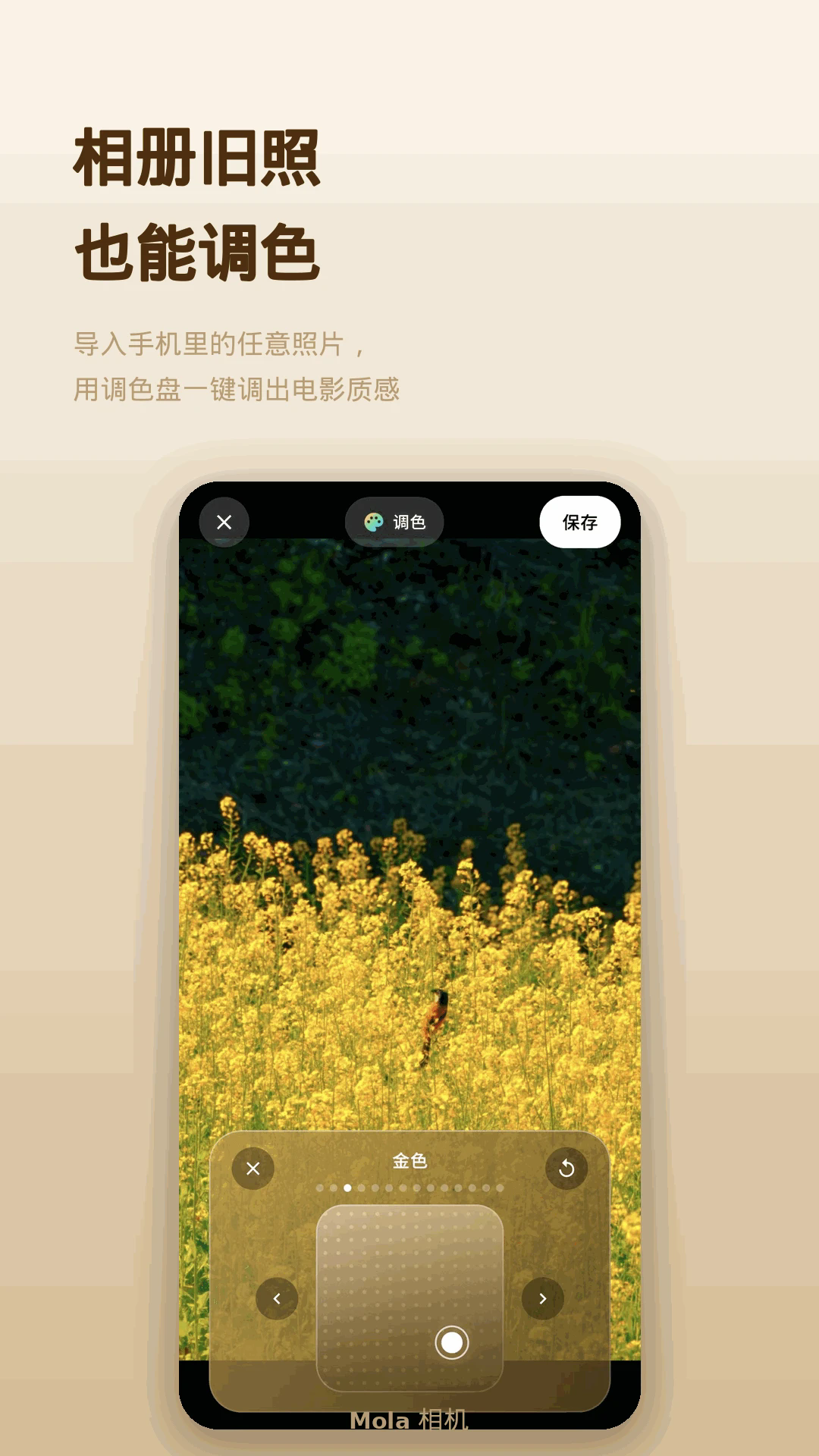 Mola����ٷ���v2.5��ͼ4