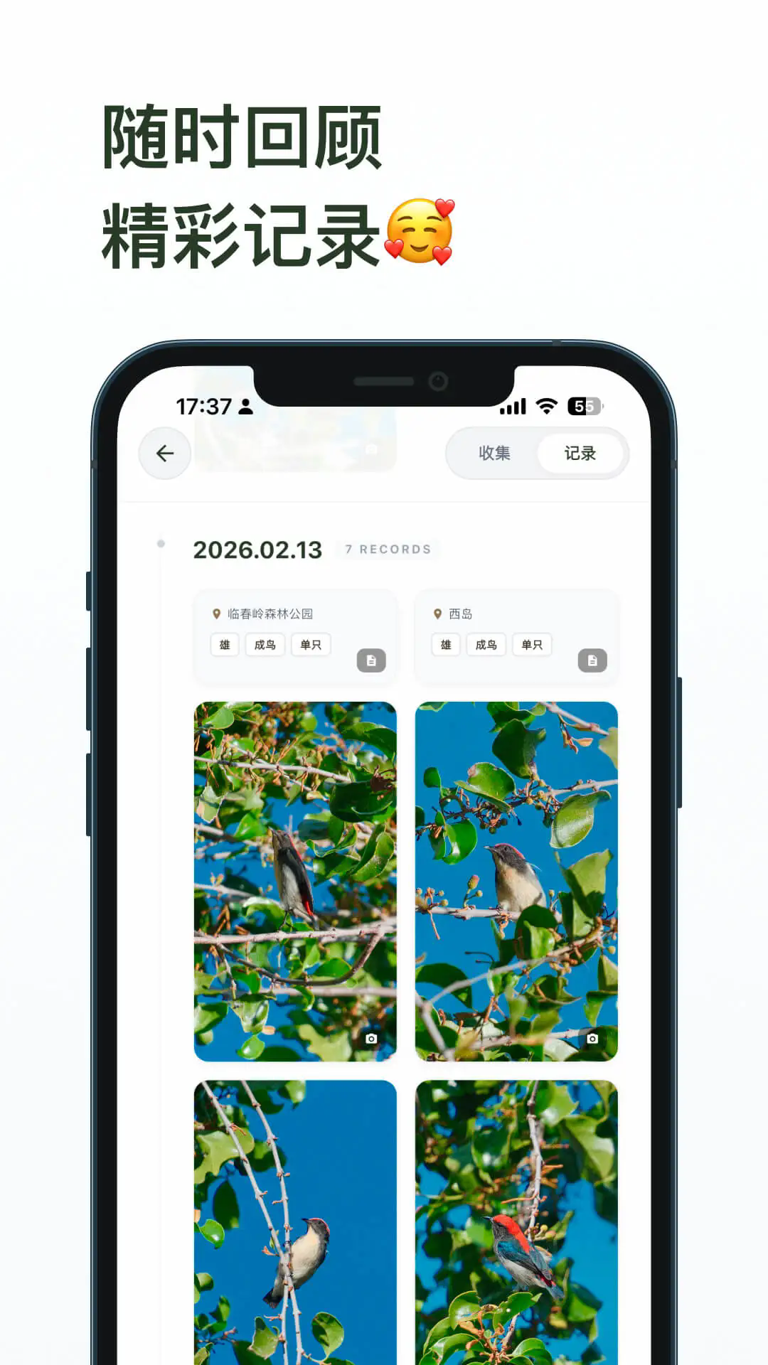 ��ë��׿��v1.8.3��ͼ3